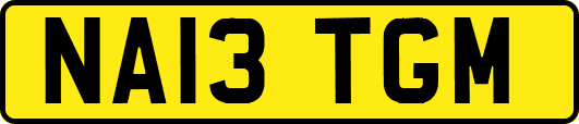 NA13TGM