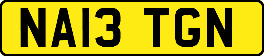 NA13TGN