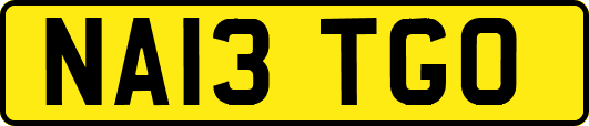 NA13TGO