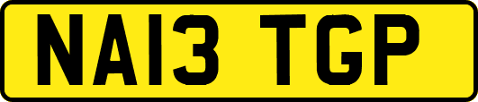 NA13TGP