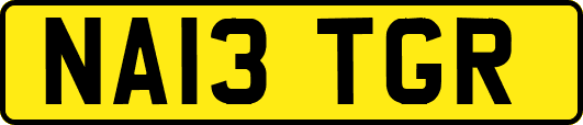 NA13TGR