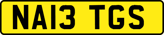 NA13TGS