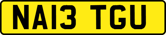NA13TGU