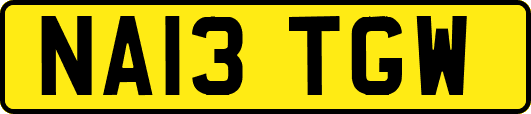 NA13TGW