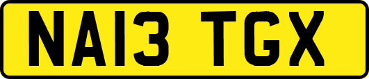 NA13TGX