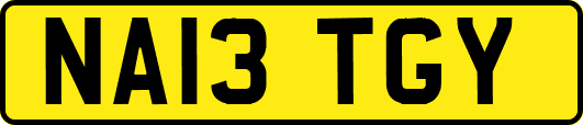 NA13TGY