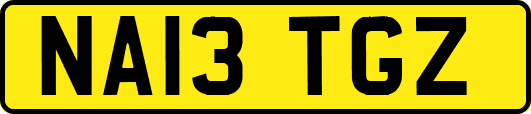 NA13TGZ