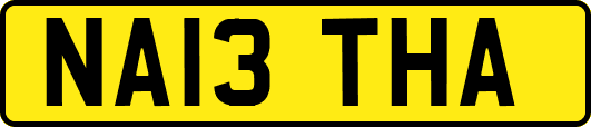 NA13THA