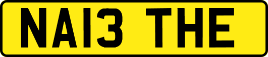 NA13THE