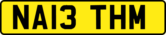 NA13THM