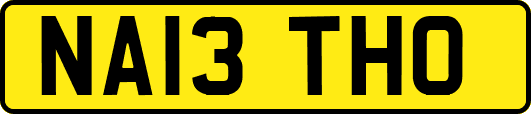 NA13THO
