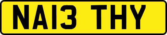 NA13THY