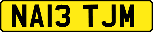 NA13TJM