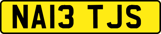 NA13TJS