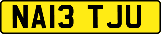 NA13TJU