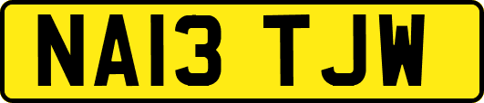 NA13TJW