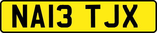 NA13TJX