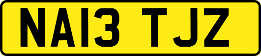 NA13TJZ