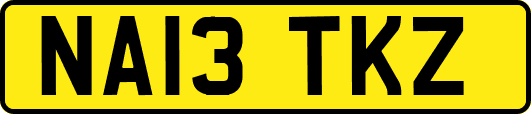 NA13TKZ