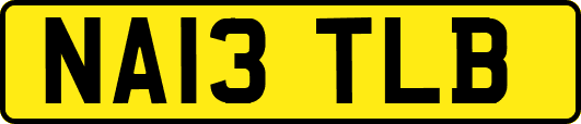NA13TLB