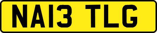 NA13TLG