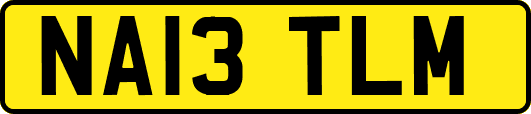 NA13TLM