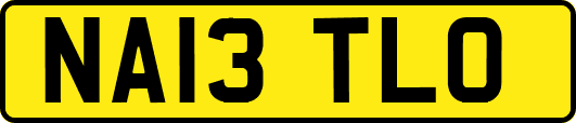 NA13TLO
