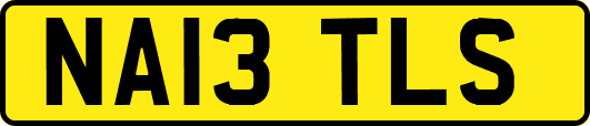 NA13TLS