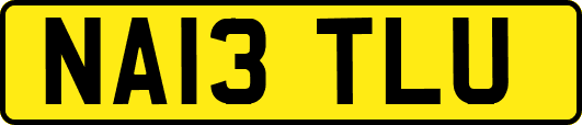 NA13TLU