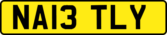 NA13TLY