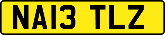 NA13TLZ
