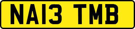 NA13TMB