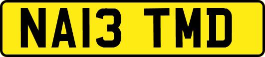 NA13TMD
