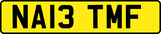 NA13TMF