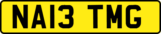 NA13TMG