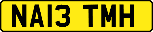 NA13TMH