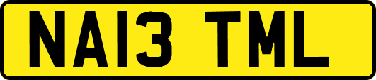 NA13TML