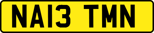 NA13TMN