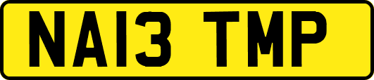 NA13TMP