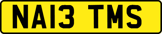 NA13TMS