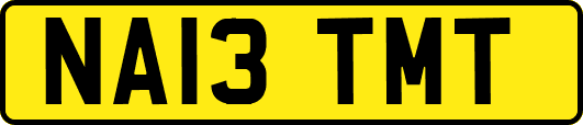NA13TMT