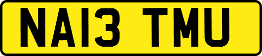 NA13TMU