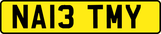 NA13TMY