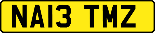 NA13TMZ