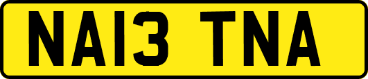 NA13TNA