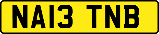 NA13TNB