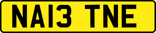 NA13TNE