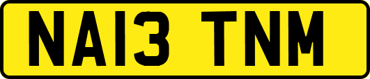 NA13TNM