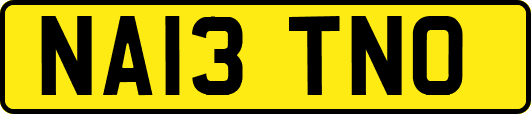 NA13TNO
