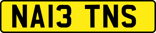 NA13TNS
